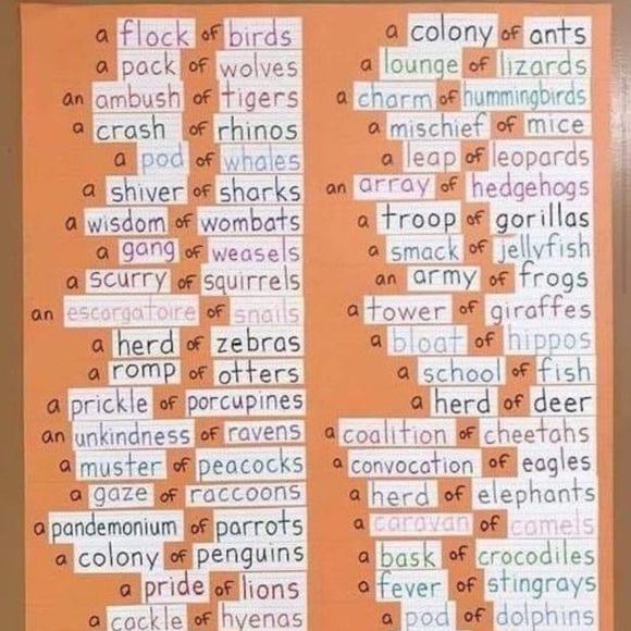 Meet your Posher, Emily - Picture 9 of 16